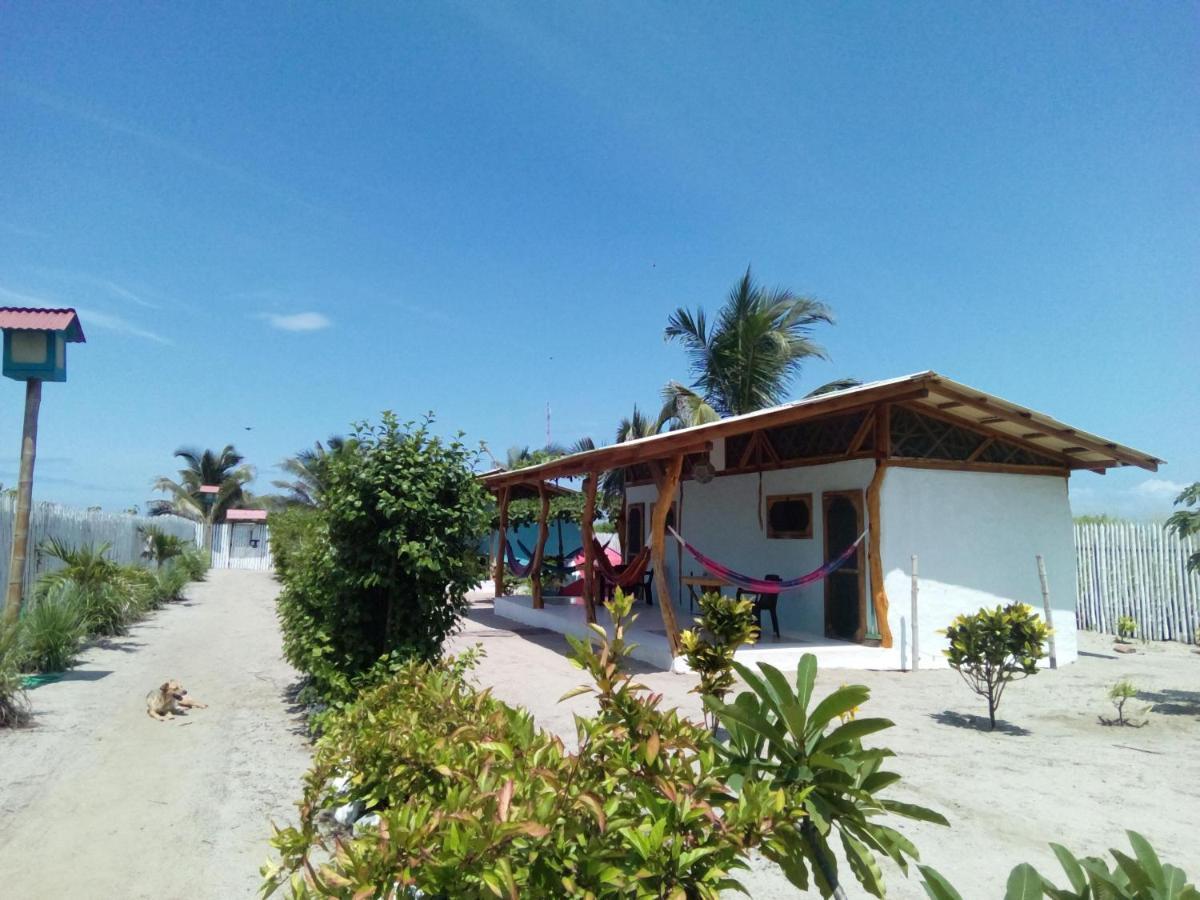 卡诺阿 Jardin Pacifico酒店 外观 照片