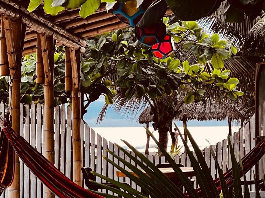 卡诺阿 Jardin Pacifico酒店 外观 照片