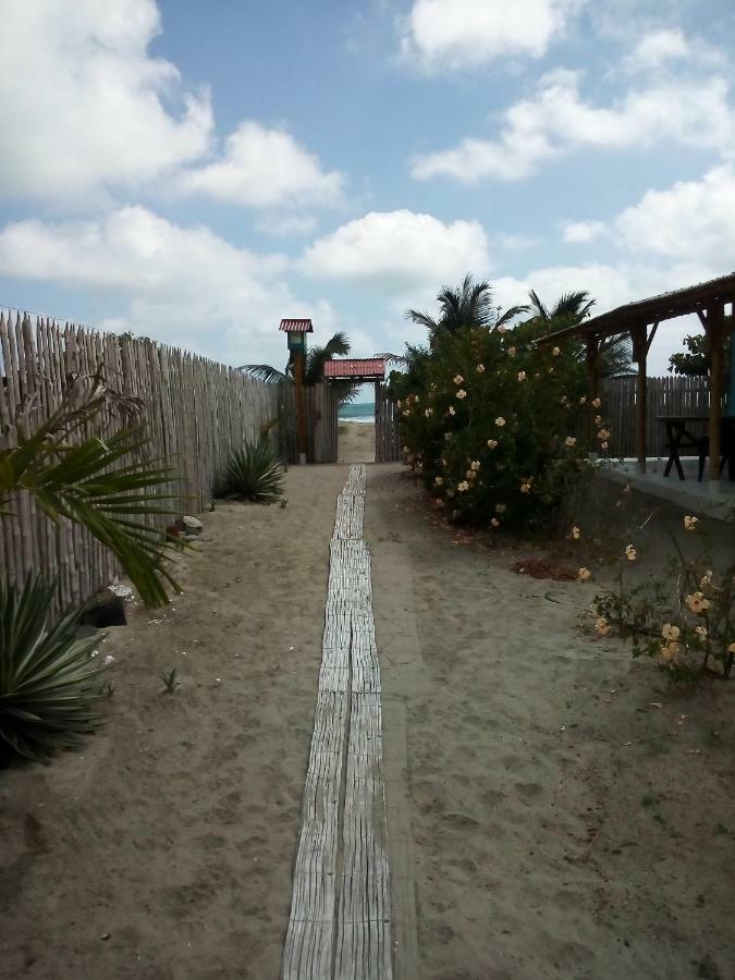 卡诺阿 Jardin Pacifico酒店 外观 照片